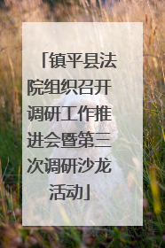 镇平县法院组织召开调研工作推进会暨第三次调研沙龙活动