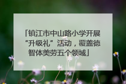 镇江市中山路小学开展“升级礼”活动，覆盖德智体美劳五个领域