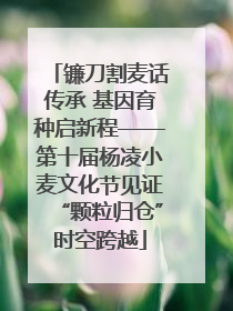 镰刀割麦话传承 基因育种启新程——第十届杨凌小麦文化节见证“颗粒归仓”时空跨越