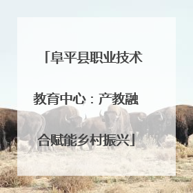 阜平县职业技术教育中心：产教融合赋能乡村振兴