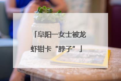 阜阳一女士被龙虾钳卡“脖子”