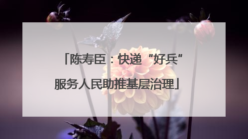 陈寿臣：快递“好兵”服务人民助推基层治理