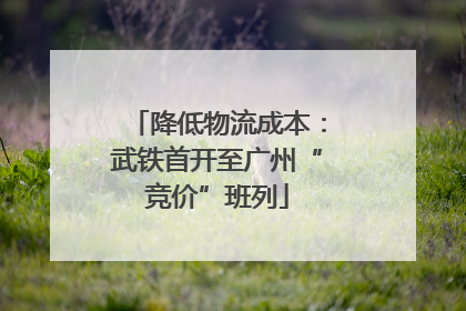 降低物流成本：武铁首开至广州“竞价”班列