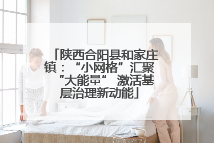 陕西合阳县和家庄镇：“小网格”汇聚“大能量” 激活基层治理新动能