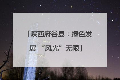 陕西府谷县：绿色发展 “风光”无限