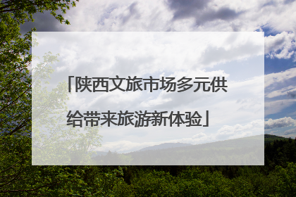 陕西文旅市场多元供给带来旅游新体验