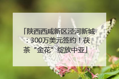 陕西西咸新区泾河新城：300万美元签约！茯茶“金花”绽放中亚