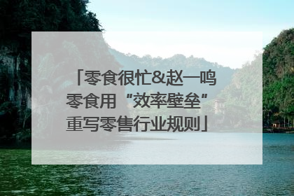 零食很忙&赵一鸣零食用“效率壁垒”重写零售行业规则