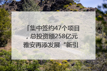 集中签约47个项目，总投资额258亿元 雅安再添发展“新引擎”｜数读西投