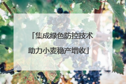 集成绿色防控技术助力小麦稳产增收