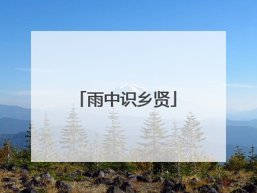 雨中识乡贤