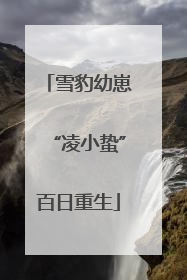 雪豹幼崽“凌小蛰”百日重生