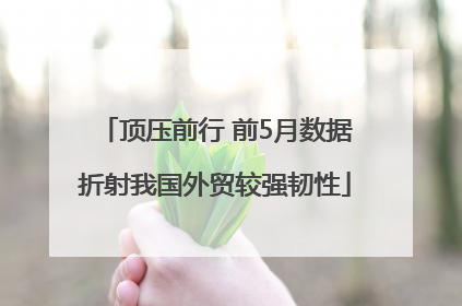顶压前行 前5月数据折射我国外贸较强韧性