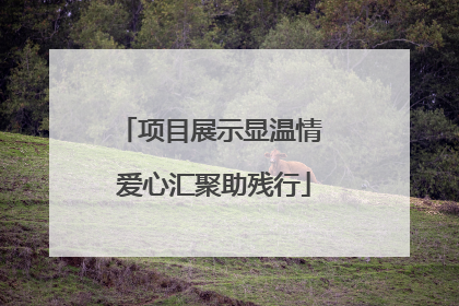 项目展示显温情 爱心汇聚助残行