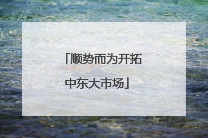 顺势而为开拓中东大市场