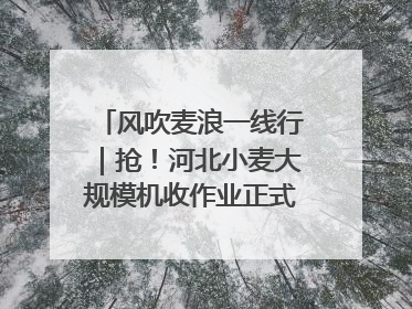 风吹麦浪一线行｜抢！河北小麦大规模机收作业正式拉开帷幕
