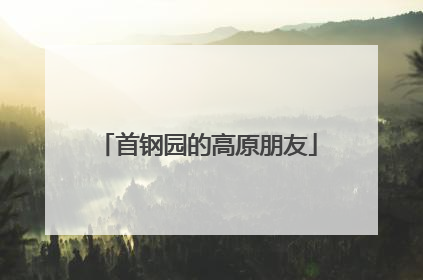 首钢园的高原朋友