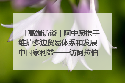 高端访谈｜阿中愿携手维护多边贸易体系和发展中国家利益——访阿拉伯议会议长亚马希