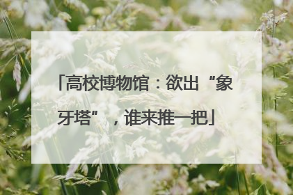 高校博物馆：欲出“象牙塔”，谁来推一把