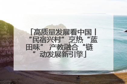 高质量发展看中国丨“民宿兴村”烹热“蓝田味” 产教融合“链”动发展新引擎