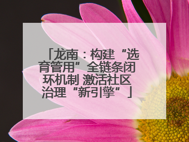 龙南：构建“选育管用”全链条闭环机制 激活社区治理“新引擎”