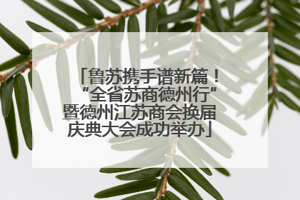 鲁苏携手谱新篇！“全省苏商德州行”暨德州江苏商会换届庆典大会成功举办