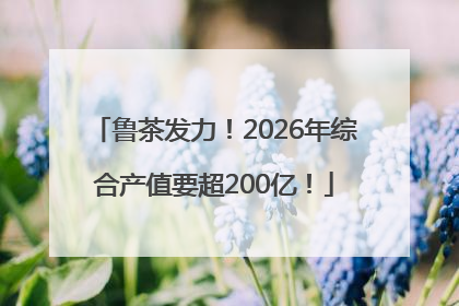 鲁茶发力！2026年综合产值要超200亿！