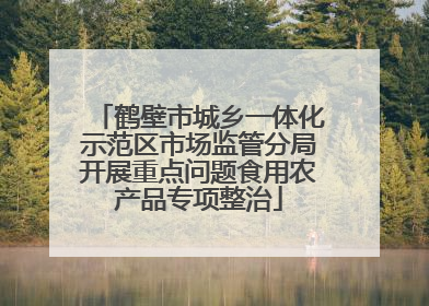鹤壁市城乡一体化示范区市场监管分局开展重点问题食用农产品专项整治