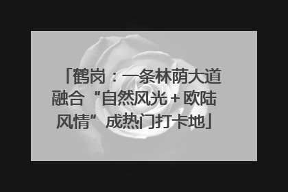 鹤岗：一条林荫大道融合“自然风光＋欧陆风情”成热门打卡地