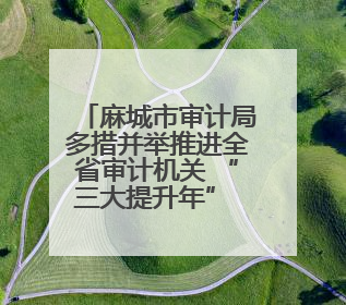 麻城市审计局多措并举推进全省审计机关 “三大提升年” 行动