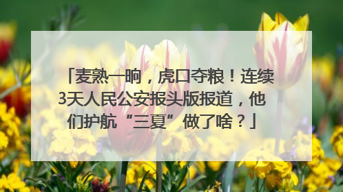 麦熟一晌，虎口夺粮！连续3天人民公安报头版报道，他们护航“三夏”做了啥？