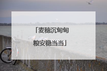 麦穗沉甸甸 粮安稳当当