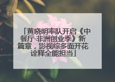黄晓明率队开启《中餐厅·非洲创业季》新篇章，影视综多面开花诠释全能担当