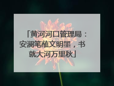黄河河口管理局：安澜笔蘸文明墨，书就大河万里秋