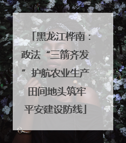 黑龙江桦南：政法“三箭齐发”护航农业生产 田间地头筑牢平安建设防线