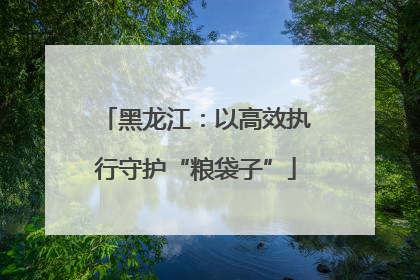 黑龙江：以高效执行守护“粮袋子”