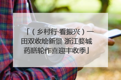 （乡村行·看振兴）一田双收绘新景 浙江婺城药膳轮作喜迎丰收季