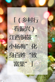 （乡村行·看振兴）江西铜鼓“小杨梅”化身百姓“致富果”