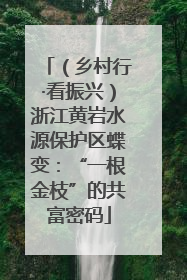 （乡村行·看振兴）浙江黄岩水源保护区蝶变：“一根金枝”的共富密码