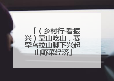 （乡村行·看振兴）靠山吃山，赛罕乌拉山脚下兴起山野菜经济