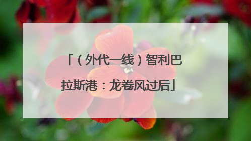 （外代一线）智利巴拉斯港：龙卷风过后