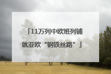 11万列中欧班列铺就亚欧“钢铁丝路”