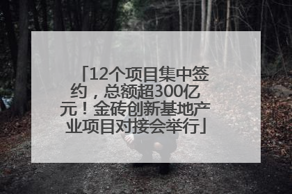 12个项目集中签约，总额超300亿元！金砖创新基地产业项目对接会举行