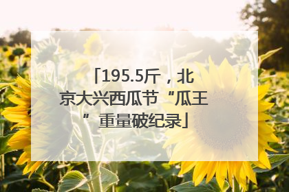 195.5斤，北京大兴西瓜节“瓜王”重量破纪录