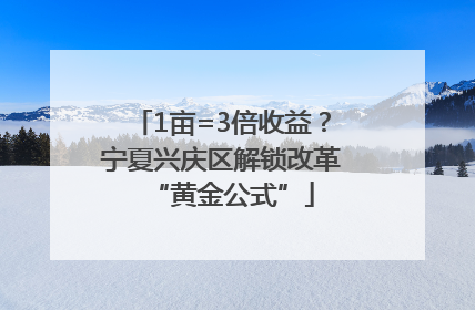 1亩=3倍收益？宁夏兴庆区解锁改革“黄金公式”