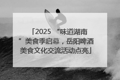 2025 “味道湖南”美食季启幕，岳阳啤酒美食文化交流活动点亮