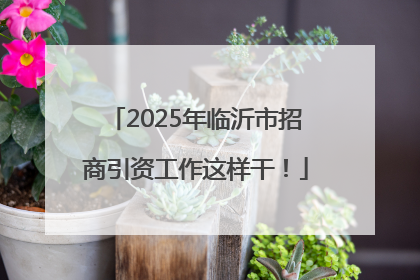 2025年临沂市招商引资工作这样干！