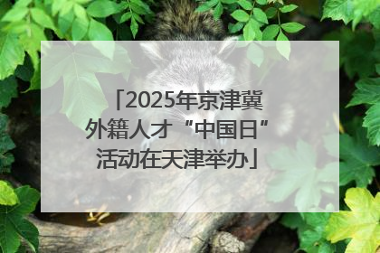 2025年京津冀外籍人才“中国日”活动在天津举办