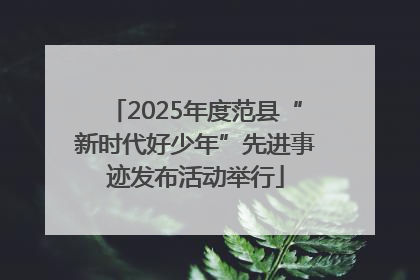 2025年度范县“新时代好少年”先进事迹发布活动举行