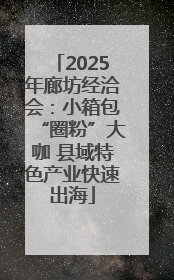 2025年廊坊经洽会：小箱包“圈粉”大咖 县域特色产业快速出海